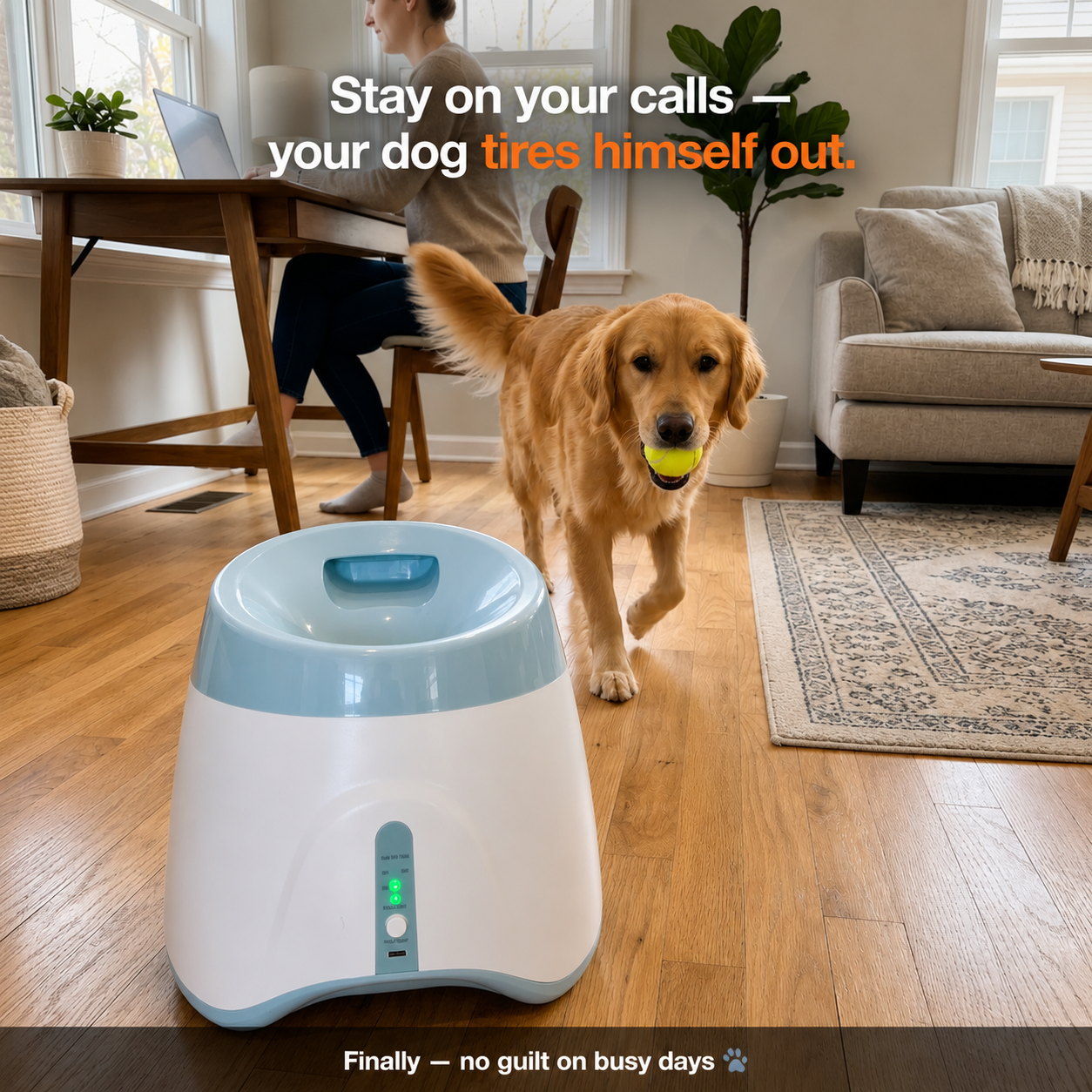 Fetchly™ — More Play. Less Stress.
