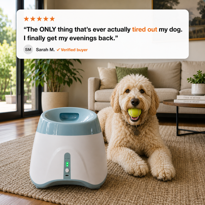 Fetchly™ — More Play. Less Stress.