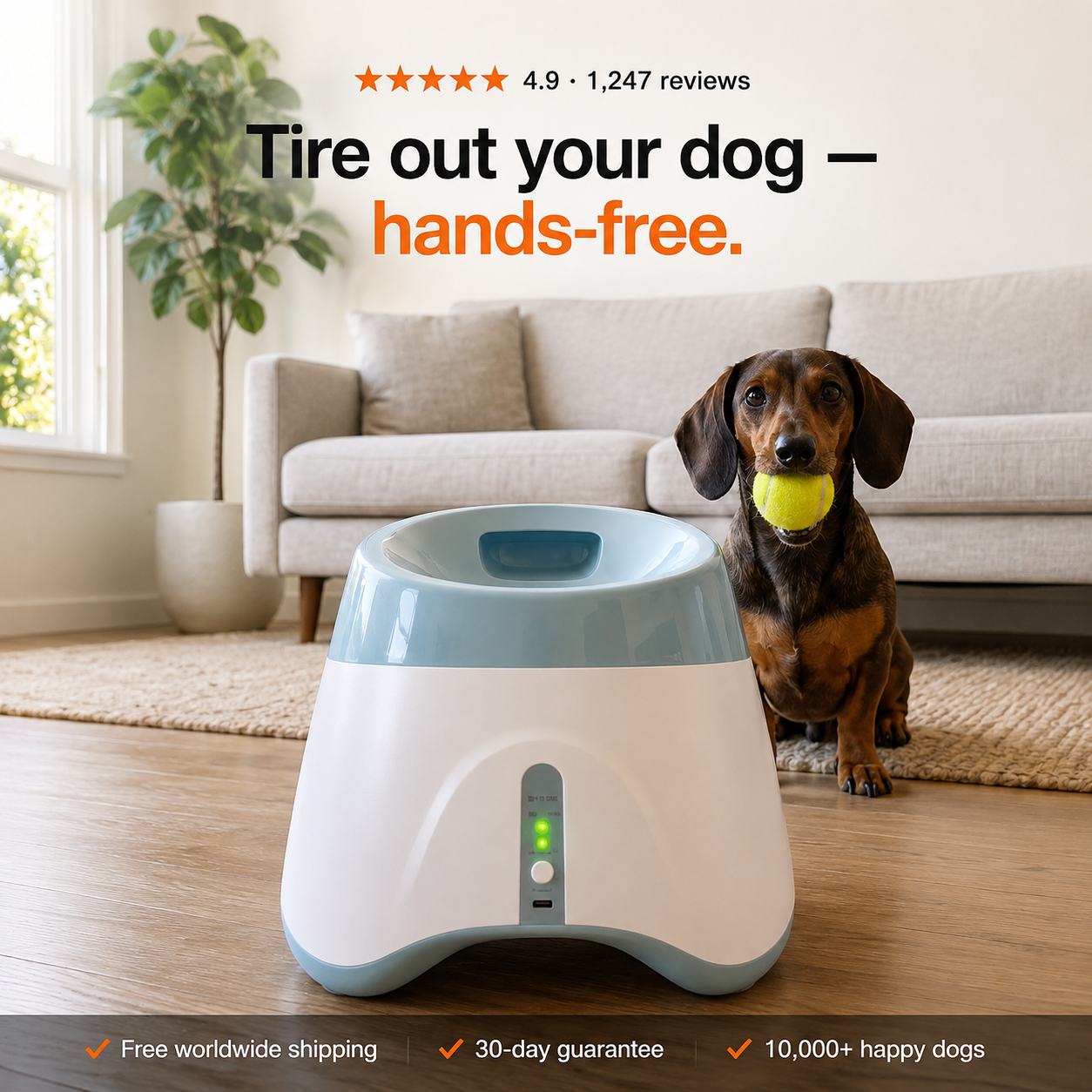 Fetchly™ — More Play. Less Stress.